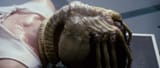 alien1-bluray-213