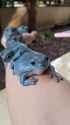 ssstwitter.com_1750173855007 (1)_thumb.jpg