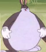 35676578