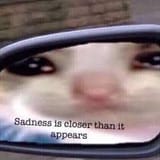 1692041323708