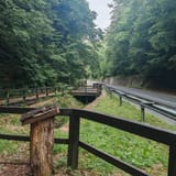 IMG_20250617_182146