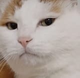 1742700405158196