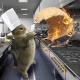 let dat cat cook