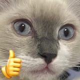 1752284013785877