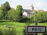 Poil