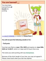Screenshot_20250617_135140_Chrome
