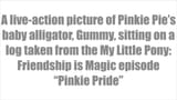 MLP stealth image 2