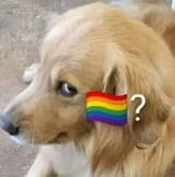 Pride Flag Question Mark