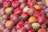 pitaya