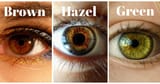 haz