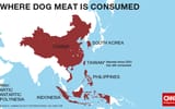 Where dog meat is consumed