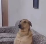 1708552872144060