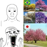 1732397524868663