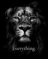 lion-everything