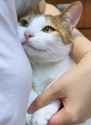 1735775507147329_thumb.jpg