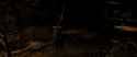 The Elder Scrolls V Skyrim Special Edition 2025.03.06 - 21.13.24.03_thumb.jpg