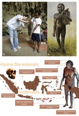 homo floresiensis