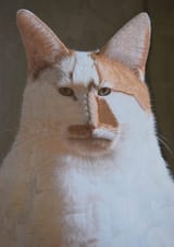 1743657599381042