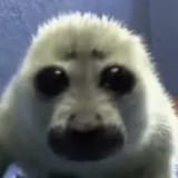 1749884579794602