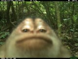 reelsvideo.io_1746708379029