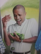 Why-Cant-I-Hold-All-These-Limes