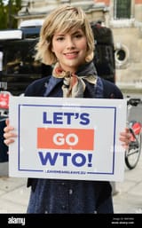 beatrice-grant-brexiteer-activist-college-green-houses-of-parliament-westminster-london-uk-WMY868