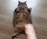 1742333762601580