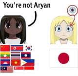 Japanese are Aryan