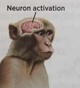 activate