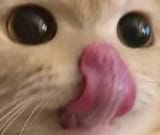 1644939070829