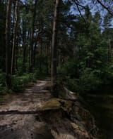 1740465414953085