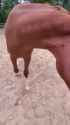 1721762617129974_thumb.jpg