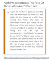 no free will islam