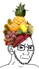 Manyfruit-1406421945