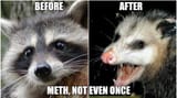 meth