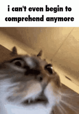 1643654680867