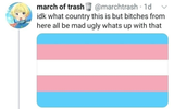 Trans Flag