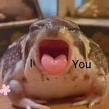 GtVGYGXWkAALoex.jfif
