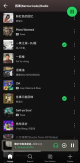 Screenshot_20250619_021204_Spotify