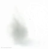 1750272420794841(1)
