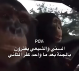 dfghsfgh