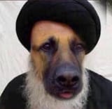dogstani