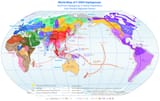 World_Map_of_Y-DNA_Haplogroups(1)