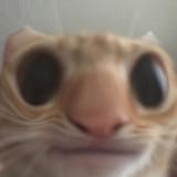 1614087303152