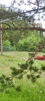IMG_20250618_214651