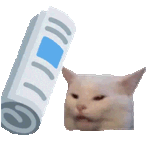 1691826952238483
