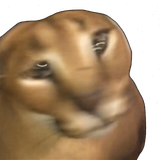1728998392472598