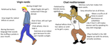 nordocuck vs medchad