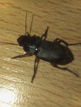 IMG_20250618_231139