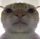 1535310977931